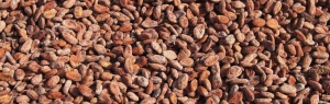 cacaobonen-raw